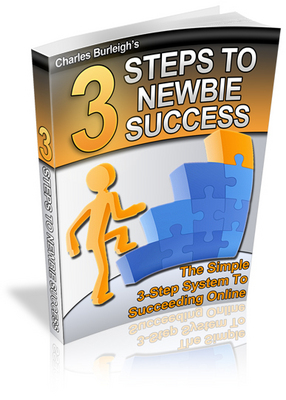Product picture 3 Steps To Newbie Success-PLR